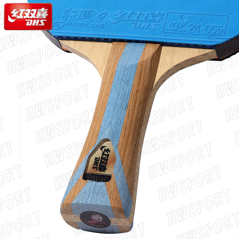 DHS 6 Star Color Table Tennis  - مراجعة Table Tennis Review وسعره