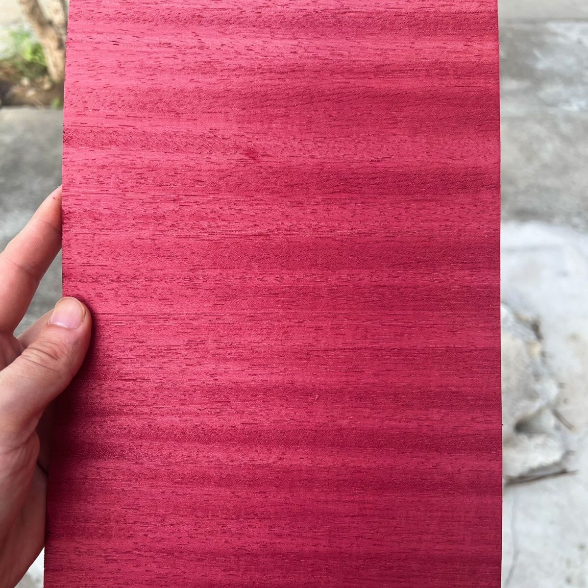 1.5MM  Dyed Red Ayus Table Ten - مراجعة Table Tennis Eleven وسعره