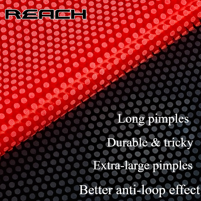 Reach C-8 C-801 Table-tennis R - مراجعة Table Tennis Rubber وسعره