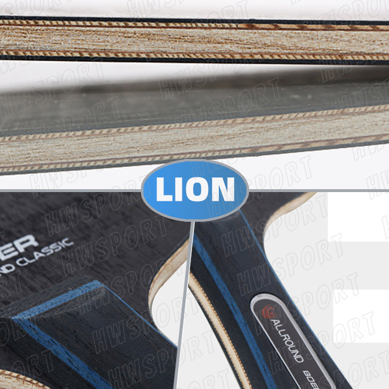 BOER LION DRAGON Table Tennis  - مراجعة Table Tennis Eleven وسعره