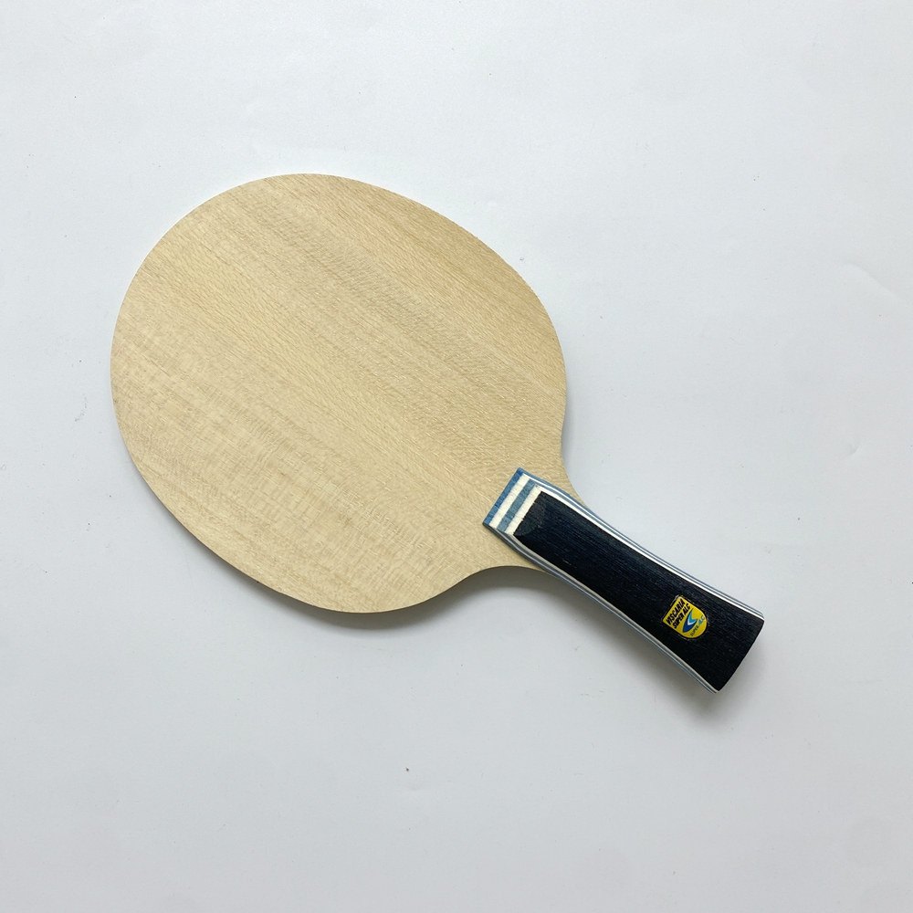 Lemuria VIS Carbon Fiber Table - مراجعة Table Tennis Review وسعره