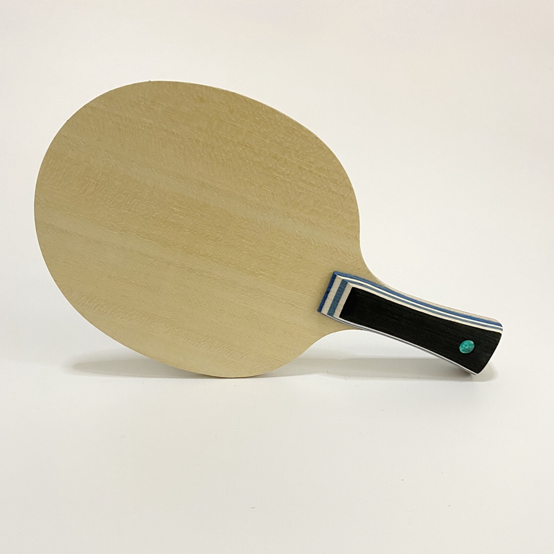 Lemuria VIS Carbon Fiber Table - مراجعة Table Tennis Review وسعره