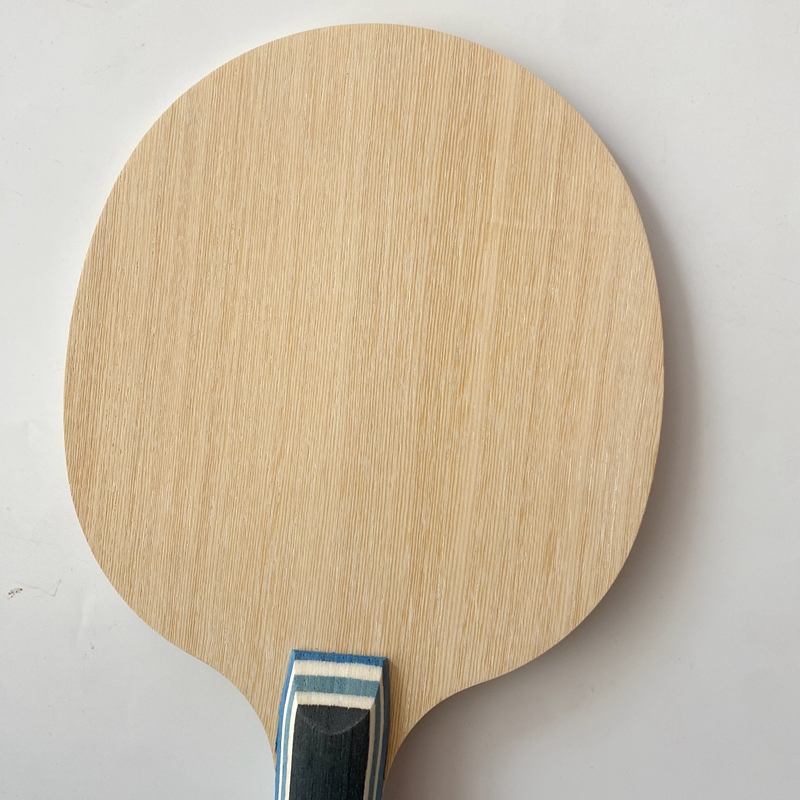 Lemuria VIS Carbon Fiber Table - مراجعة Table Tennis Review وسعره