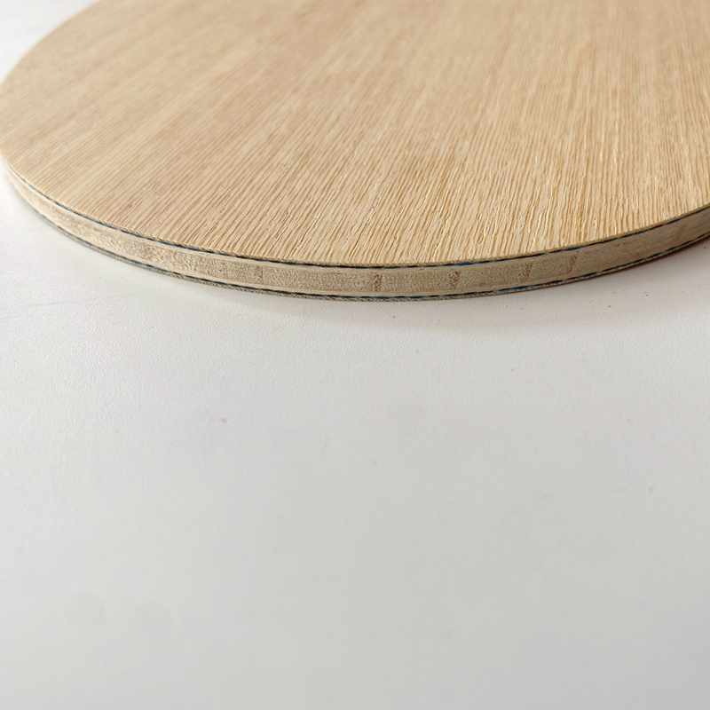 Lemuria VIS Carbon Fiber Table - مراجعة Table Tennis Review وسعره
