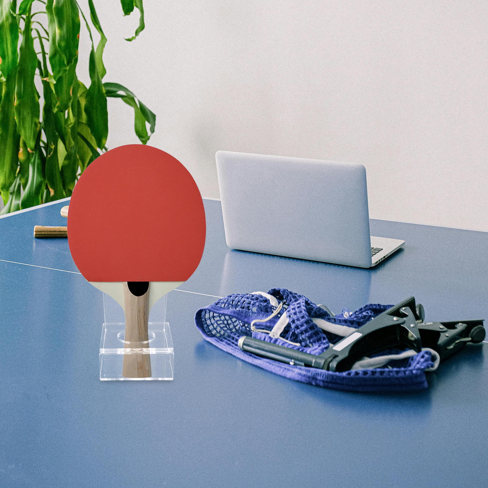 Transparent Table Tennis Paddl - مراجعة Table Tennis Ranking وسعره
