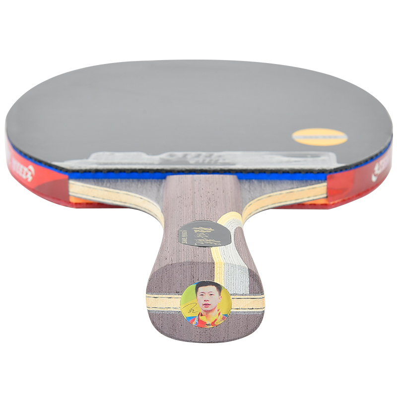DHS Ma Long 5 Professional Tab - مراجعة Table Tennis Ranking وسعره