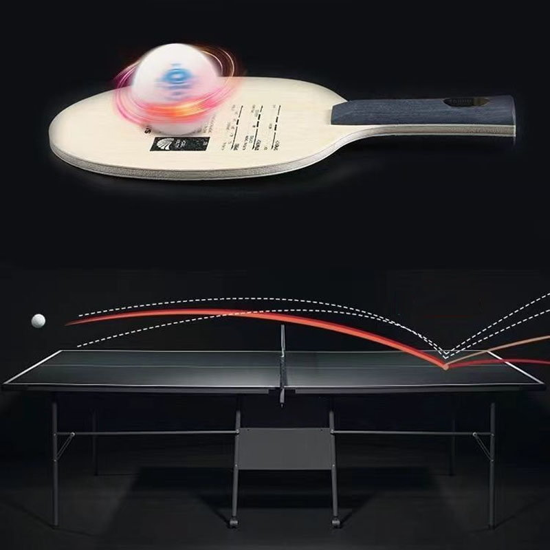 Original Sanwei T5000 Table Te - مراجعة Table Tennis Eleven وسعره